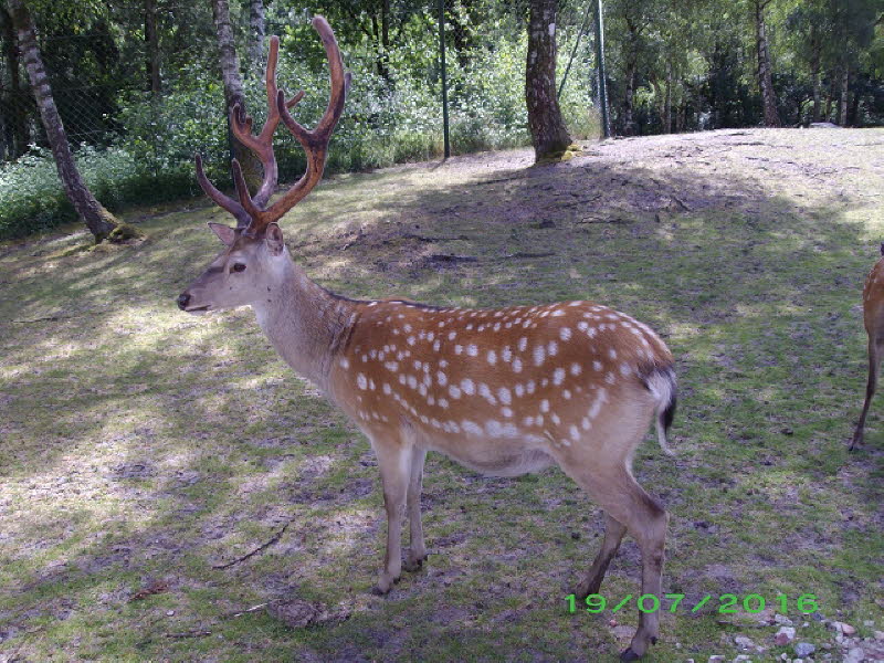 Serengeti Park Hodenhagen