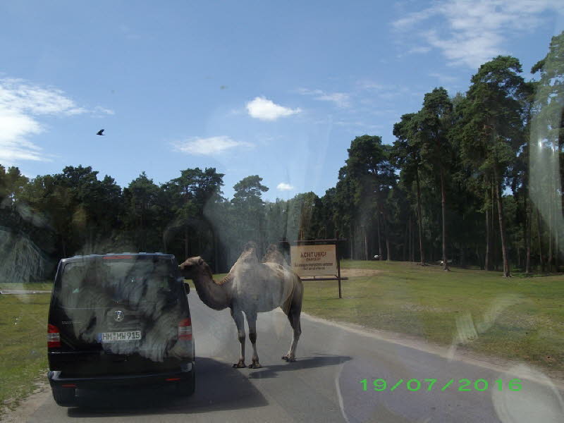 Serengeti Park Hodenhagen